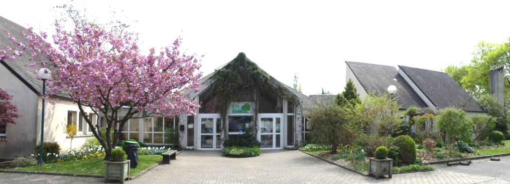 Site De Maisons Laffitte Cheval Paysage